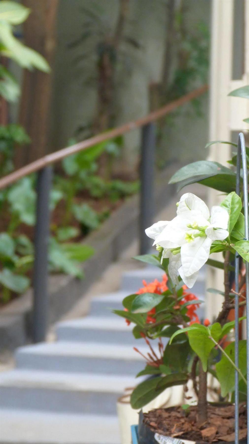 Olah Hostel - Vila Mariana São Paulo Zewnętrze zdjęcie